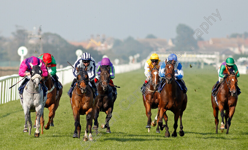 Grandfather-Tom-0006 
 GRANDFATHER TOM (2nd left, Ray Dawson) beats CASE KEY (left) in The Follow At The Races On Twitter Handicap
Yarmouth 15 Sep 2020 - Pic Steven Cargill / Racingfotos.com