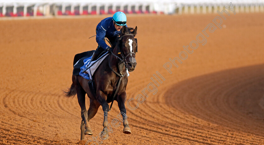 Songline-0002 
 SONGLINE training for the 1351 Turf Sprint
King Abdulaziz Racecourse, Kingdom of Saudi Arabia, 22 Feb 2023 - Pic Steven Cargill / Racingfotos.com