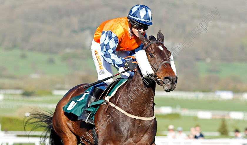 Hawthorn-Cottage-0005 
 HAWTHORN COTTAGE (Lucy Barry) wins The Spreadex Sports Betting Mares' Standard Open National Hunt Flat Race Cheltenham 19 Apr 2018 - Pic Steven Cargill / Racingfotos.com