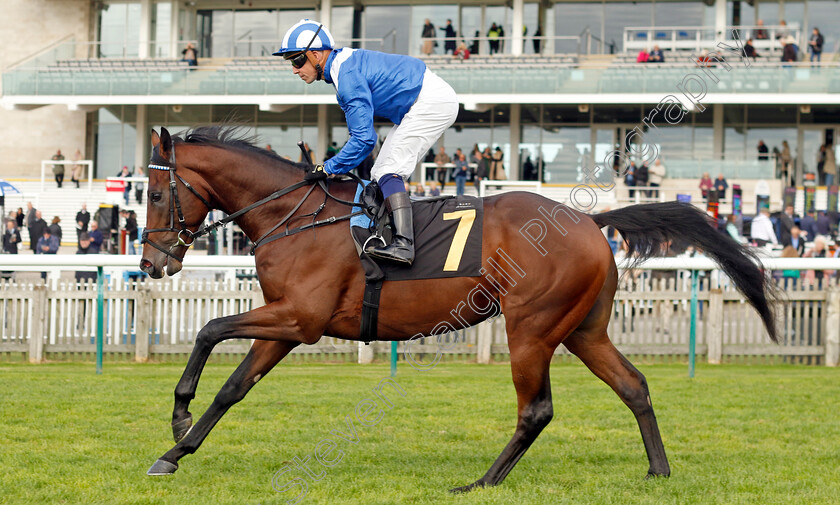 Mudbir-0001 
 MUDBIR (Jim Crowley)
Newmarket 23 Oct 2024 - Pic Steven Cargill / Racingfotos.com