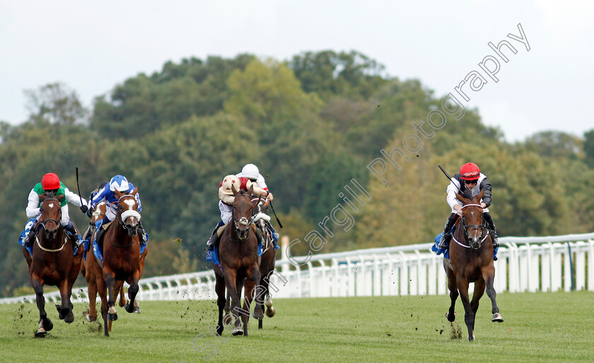 Bartzella-0001 
 BARTZELLA (Tom Marquand) wins The Troy Asset Management Novice Stakes
Ascot 1 Oct 2021 - Pic Steven Cargill / Racingfotos.com