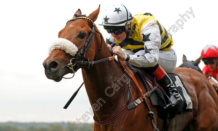 Dakota-Gold-0008 
 DAKOTA GOLD (Connor Beasley) wins The UK Hi-Fi Show Live Rous Stakes
Ascot 5 Oct 2019 - Pic Steven Cargill / Racingfotos.com