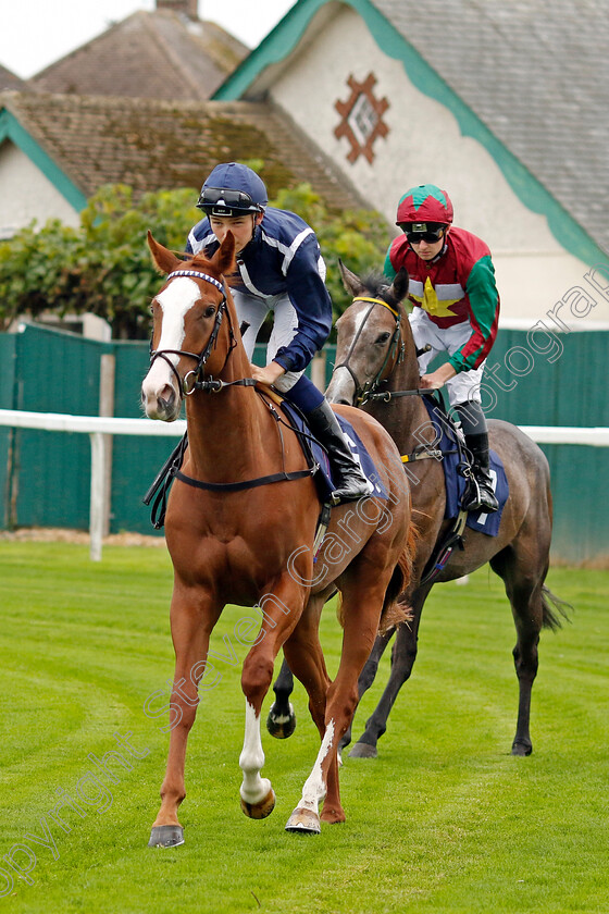 Adore-You-0003 
 ADORE YOU (Billy Loughnane)
Yarmouth 21 Sep 2023 - Pic Steven Cargill / Racingfotos.com