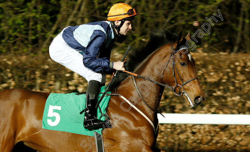 Madame-Tantzy-0001 
 MADAME TANTZY (Charles Bishop) winner of The 32Red On The App Store Fillies Novice Stakes Div2
Kempton 23 Mar 2019 - Pic Steven Cargill / Racingfotos.com