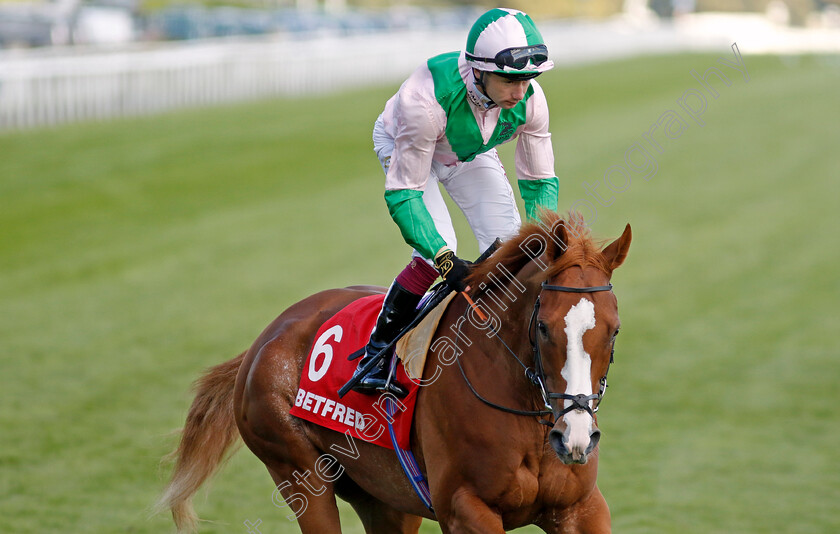 Subsequent-0001 
 SUBSEQUENT (Oisin Murphy)
Doncaster 13 Sep 2024 - Pic Steven Cargill / Racingfotos.com