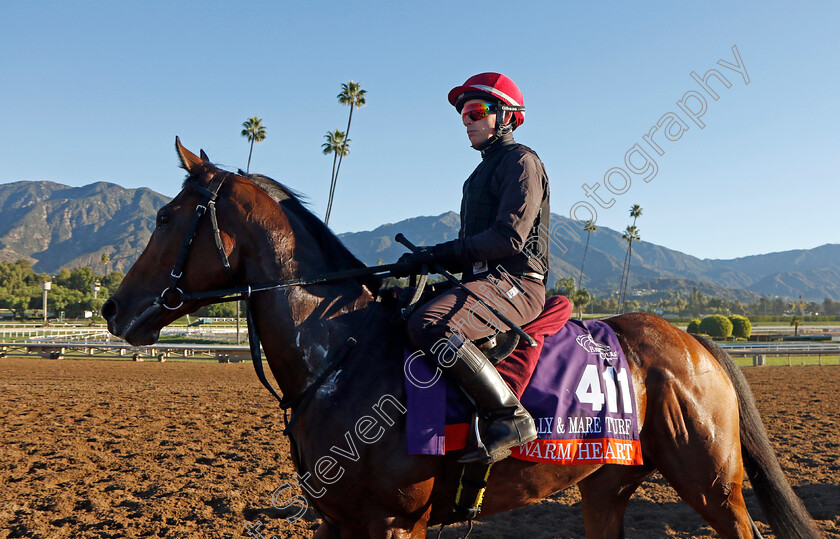 Warm-Heart-0002 
 WARM HEART training for The Breeders' Cup Filly & Mare Turf 
Santa Anita USA, 31 October 2023 - Pic Steven Cargill / Racingfotos.com