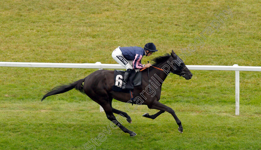 Skymax-0005 
 SKYMAX (Harry Bentley) wins The Regus Handicap
Newbury 19 Jul 2019 - Pic Steven Cargill / Racingfotos.com