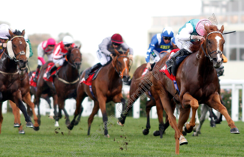 Blue-Mist-0002 
 BLUE MIST (Ryan Moore) wins The Mar-Key Group Classified Stakes
Ascot 5 Oct 2018 - Pic Steven Cargill / Racingfotos.com