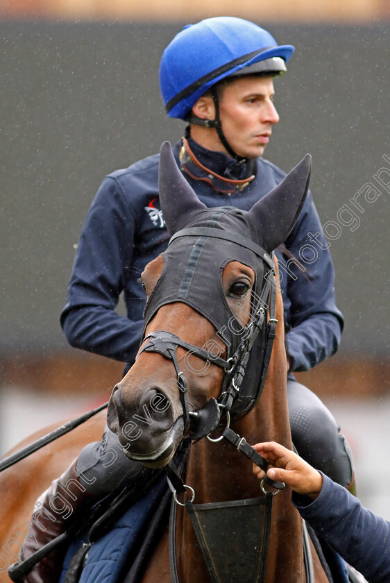 Emily-Upjohn-0004 
 EMILY UPJOHN (William Buick) preparing for racecourse gallop
Newmarket 1 Jul 2023 - Pic Steven Cargill / Racingfotos.com