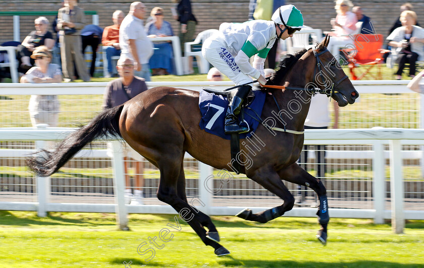 Creative-Lady-0001 
 CREATIVE LADY (Adam Farragher)
Yarmouth 17 Sep 2024 - Pic Steven Cargill / Racingfotos.com