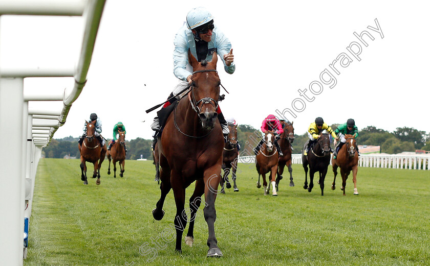 Genetics-0005 
 GENETICS (Andrasch Starke) wins The Dubai Duty Free Shergar Cup Challenge
Ascot 11 Aug 2018 - Pic Steven Cargill / Racingfotos.com