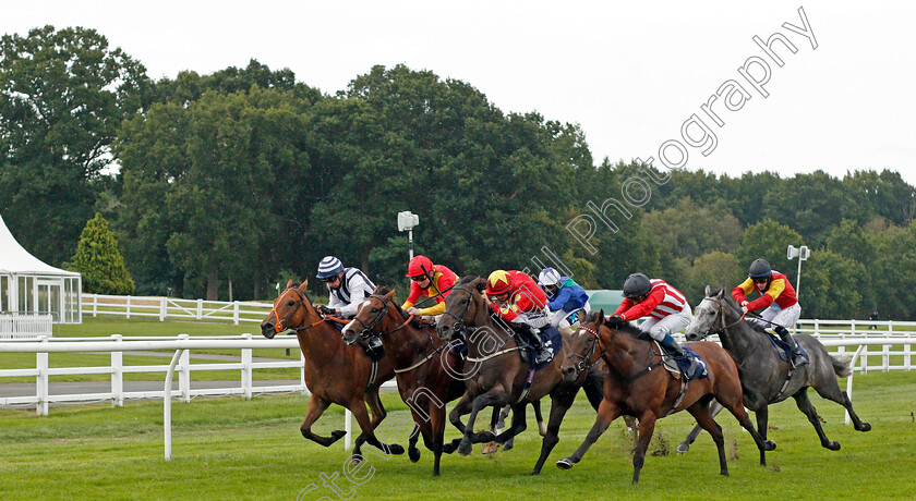 Redemptive-and-Mr-Millarcky-0001 
 REDEMPTIVE (right, William Buick) dead-heats with MR MILLARCKY (left, Shane Kelly) from HE'S OUR STAR (2nd right) and NEWTON JACK (2nd left) in The Read Andrew Balding On Betway Insider Handicap
Lingfield 2 Sep 2020 - Pic Steven Cargill / Racingfotos.com