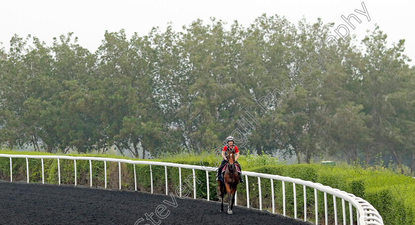 Eldar-Eldarov-0001 
 ELDAR ELDAROV training for the Dubai Gold Cup
Meydan Dubai 26 Mar 2024 - Pic Steven Cargill / Racingfotos.com