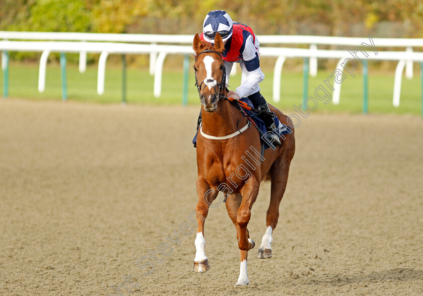 My-Rosa s-Gold 
 MY ROSA'S GOLD (Rossa Ryan)
Lingfield 28 Oct 2021 - Pic Steven Cargill / Raingfotos.com