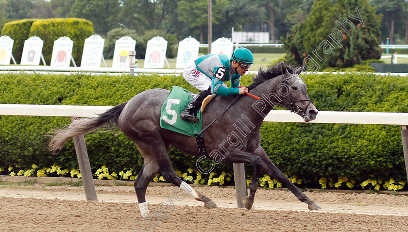 Stifle-Yourself-0002 
 STIFLE YOURSELF (Junior Alvarado) wins Maiden
Belmont Park 6 Jun 2019 - Pic Steven Cargill / Racingfotos.com