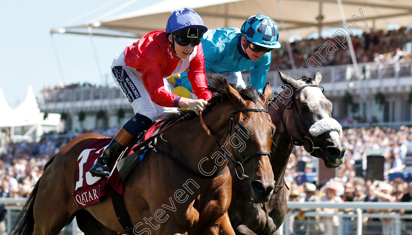 Pilaster-0004 
 PILASTER (left, David Egan) beats MAID UP (right) in The Qatar Lillie Langtry Stakes
Goodwood 2 Aug 2018 - Pic Steven Cargill / Racingfotos.com