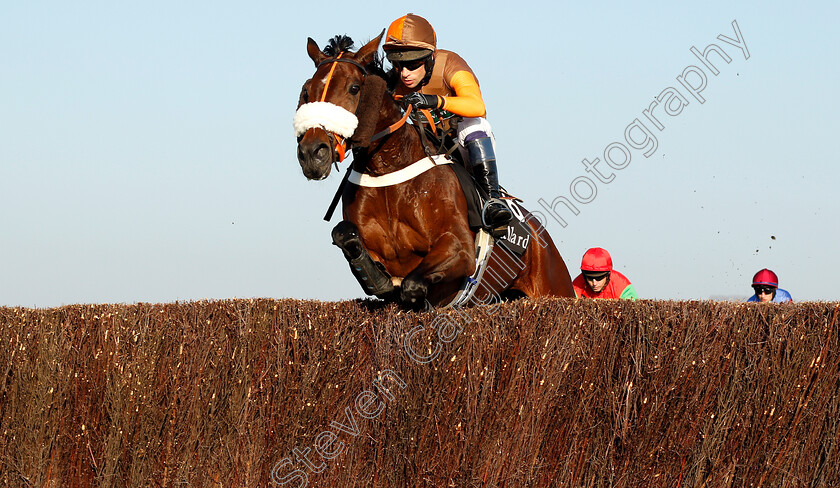 Theatre-Territory-0004 
 THEATRE TERRITORY (Sam Waley-Cohen) 
Cheltenham 17 Nov 2018 - Pic Steven Cargill / Racingfotos.com