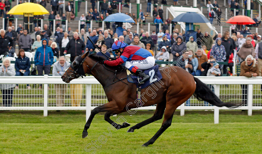 Surprise-Picture-0004 
 SURPRISE PICTURE (Marco Ghiani) wins The Quinnbet Handicap
Yarmouth 1 Jul 2021 - Pic Steven Cargill / Racingfotos.com