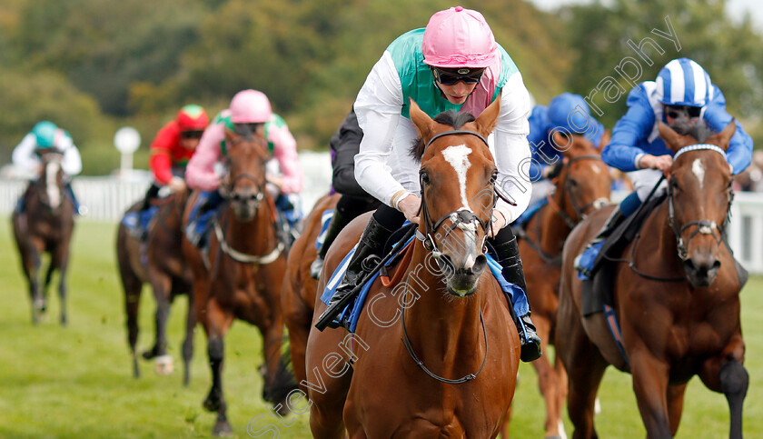 Snow-Shower-0004 
 SNOW SHOWER (James Doyle) wins The Bob McCreery Memorial EBF Quidhampton Maiden Fillies Stakes
Salisbury 5 Sep 2019 - Pic Steven Cargill / Racingfotos.com