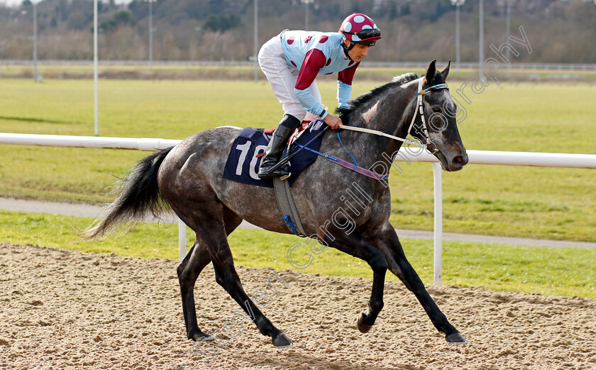 Internationalangel 
 INTERNATIONALANGEL (Robert Tart)
Wolverhampton 12 Mar 2022 - Pic Steven Cargill / Racingfotos.com