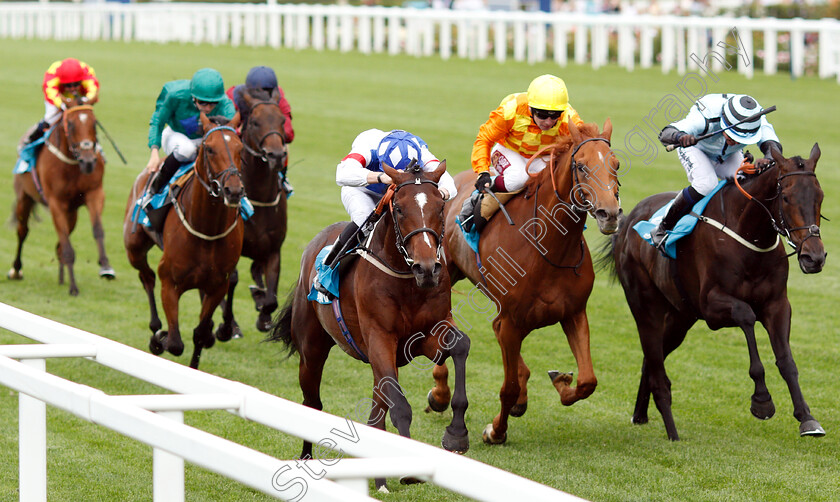 Themaxwecan-0002 
 THEMAXWECAN (left, James Doyle) beats SLEEPING LION (2nd right) and BLUE LAUREATE (right) in The John Guest Racing Brown Jack Handicap
Ascot 26 Jul 2019 - Pic Steven Cargill / Racingfotos.com