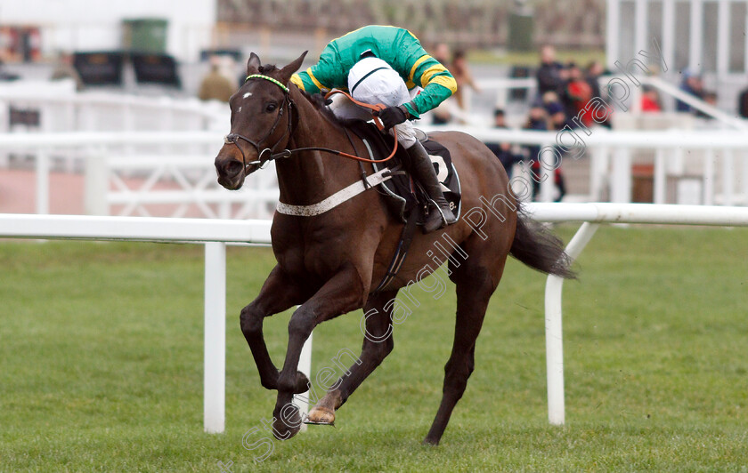 Birchdale-0004 
 BIRCHDALE (Barry Geraghty) wins The Ballymore Novices Hurdle
Cheltenham 26 Jan 2019 - Pic Steven Cargill / Racingfotos.com