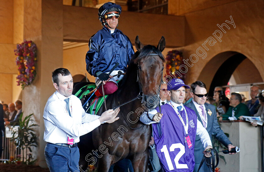 Ides-Of-March-0001 
 IDES OF MARCH (Frankie Dettori)
Del Mar 1 Nov 2024 - Pic Steven Cargill / Racingfotos.com