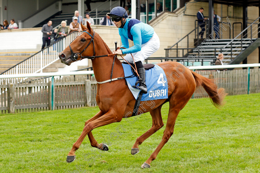 Gifted-Gold 
 GIFTED GOLD (Ben Curtis)
Newmarket 8 Oct 2021 - Pic Steven Cargill / Racingfotos.com