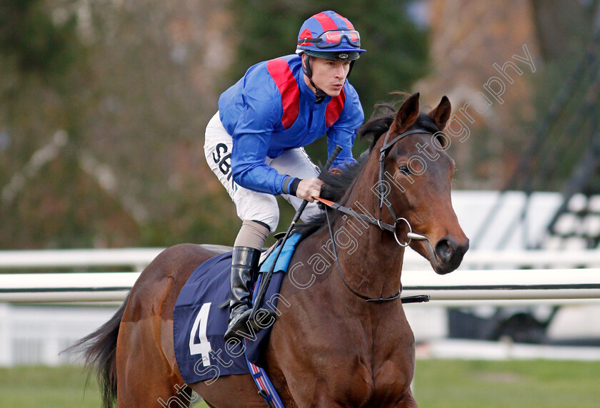 Equal-Share-0003 
 EQUAL SHARE (Richard Kingscote) winner of The Coral Proud To Support British Racing EBF Fillies Novice Stakes Div1
Lingfield 1 Dec 2021 - Pic Steven Cargill / Racingfotos.com