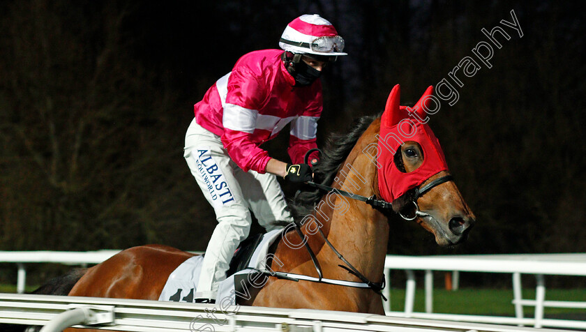 Beija-Flor-0001 
 BEIJA FLOR (Tom Marquand)
Kempton 13 Jan 2021 - Pic Steven Cargill / Racingfotos.com