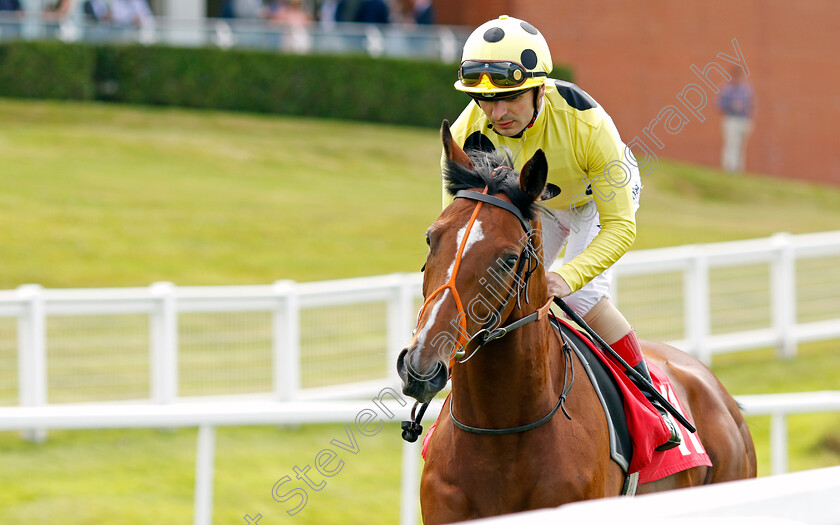 The-Parent 
 THE PARENT (Andrea Atzeni)
Sandown 1 Jul 2022 - Pic Steven Cargill / Racingfotos.com