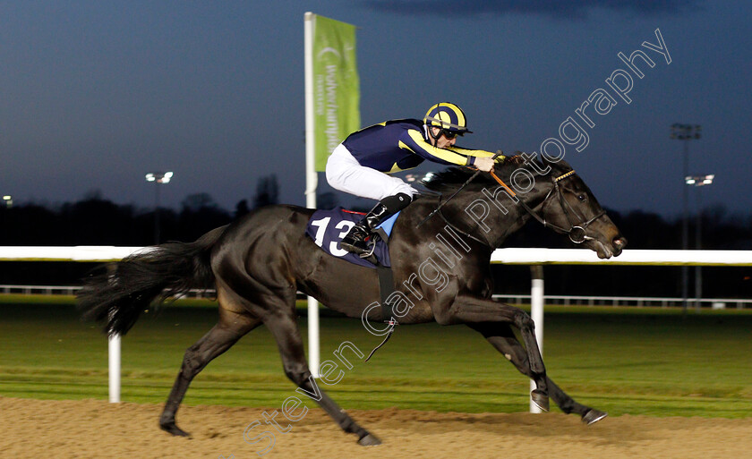 Waliyak-0003 
 WALIYAK (Jack Mitchell) wins The Ladbrokes Fillies Novice Stakes
Wolverhampton 26 Nov 2019 - Pic Steven Cargill / Racingfotos.com