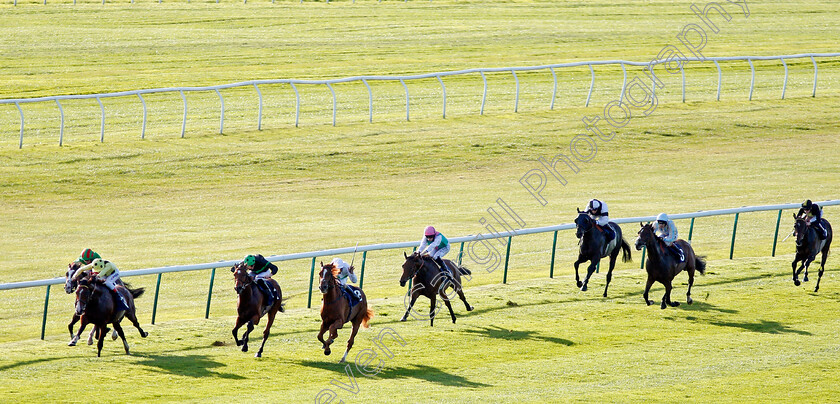 Face-The-Facts-0001 
 FACE THE FACTS (4th left, Ted Durcan) beats NEARLY CAUGHT (3rd left) and UAE KING (2nd left) in The Jockey Club Rose Bowl Stakes Newmarket 28 Sep 2017 - Pic Steven Cargill / Racingfotos.com