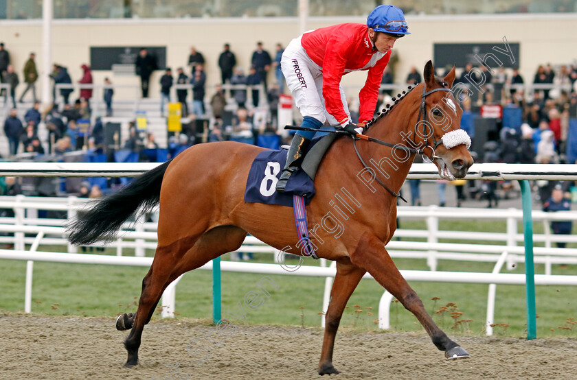 Eleanor-Cross-0001 
 ELEANOR CROSS (David Probert)
Lingfield 20 Jan 2024 - Pic Steven Cargill / Racingfotos.com