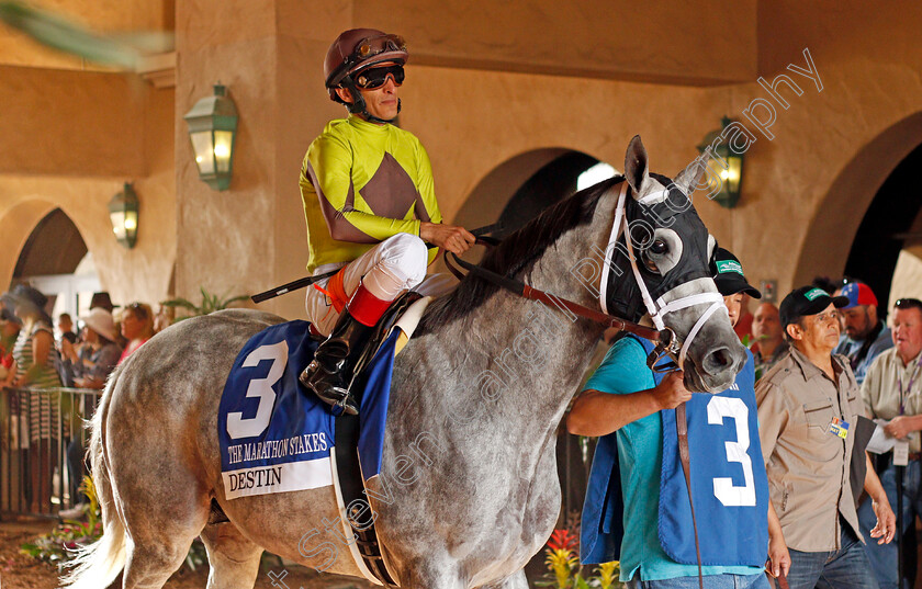 Destin-0007 
 DESTIN (John Velazquez) winner of The Marathon Stakes, Del Mar USA 3 Nov 2017 - Pic Steven Cargill / Racingfotos.com