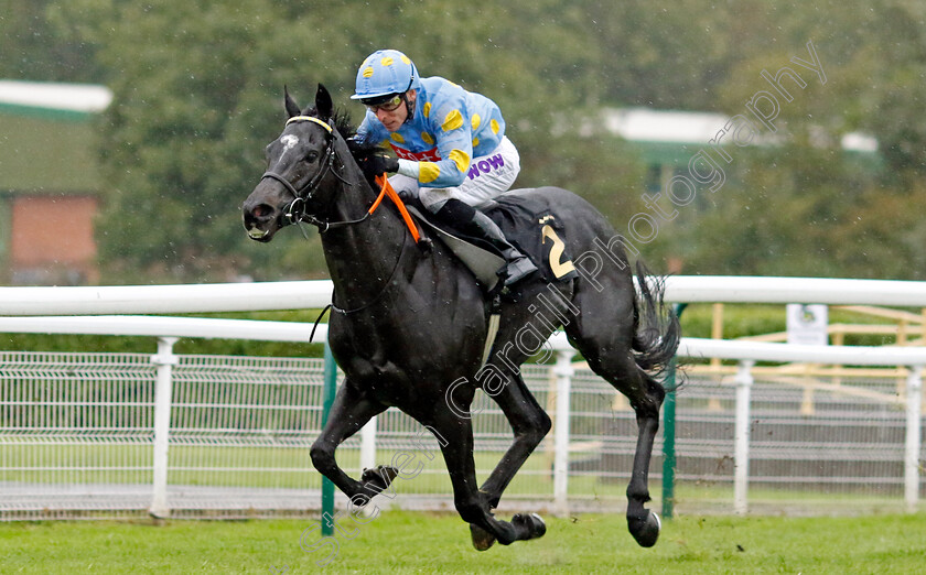 Dashing-Roger-0006 
 DASHING ROGER (Kieran Shoemark) wins The Trustatrader For Tradespeople You Can Trust Handicap
Nottingham 11 Oct 2023 - Pic Steven Cargill / Racingfotos.com