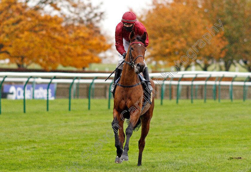 Sun-Bear-0001 
 SUN BEAR (Kieran O'Neill)
Newmarket 21 Oct 2020 - Pic Steven Cargill / Racingfotos.com