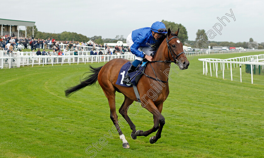 Sapphire-Seas-0008 
 SAPPHIRE SEAS (William Buick) winner of The EBF Stallions John Musker Fillies Stakes
Yarmouth 19 Sep 2023 - Pic Steven Cargill / Racingfotos.com