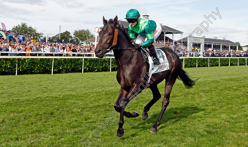 Interpretation-0002 
 INTERPRETATION (Hollie Doyle)
Doncaster 11 Sep 2021 - Pic Steven Cargill / Racingfotos.com