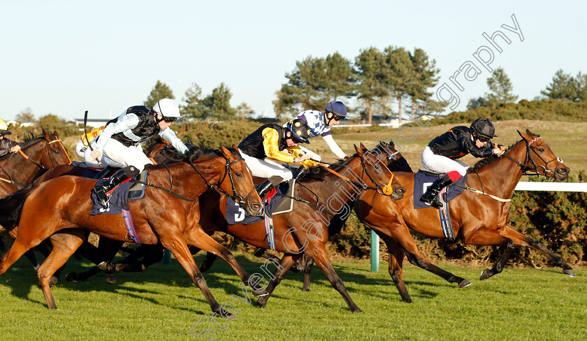 Sudona-0003 
 SUDONA (left, Jack Mitchell) beats DEBATABLE (right) and FANFAIR (centre) in The Jark (KL) Ltd Handicap
Yarmouth 23 Oct 2018 - Pic Steven Cargill / Racingfotos.com