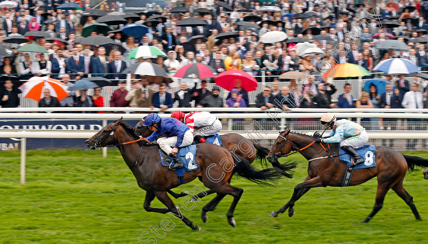 Migration-0003 
 MIGRATION (William Buick) wins The Sky Bet Handicap
York 21 Aug 2021 - Pic Steven Cargill / Racingfotos.com