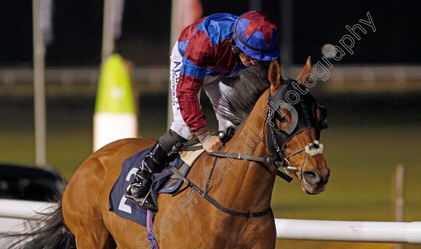 Power-Of-States-0004 
 POWER OF STATES (Tom Marquand) wins The Betway Handicap
Wolverhampton 18 Jan 2021 - Pic Steven Cargill / Racingfotos.com