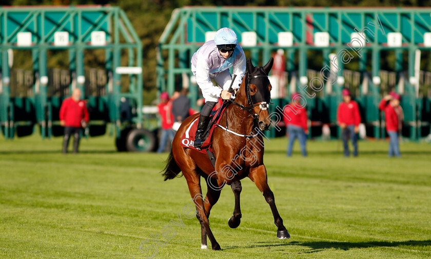 Term-Of-Endearment-0001 
 TERM OF ENDEARMENT (A Pouchin)
Longchamp 5 Oct 2034 - Pic Steven Cargill / Racingfotos.com