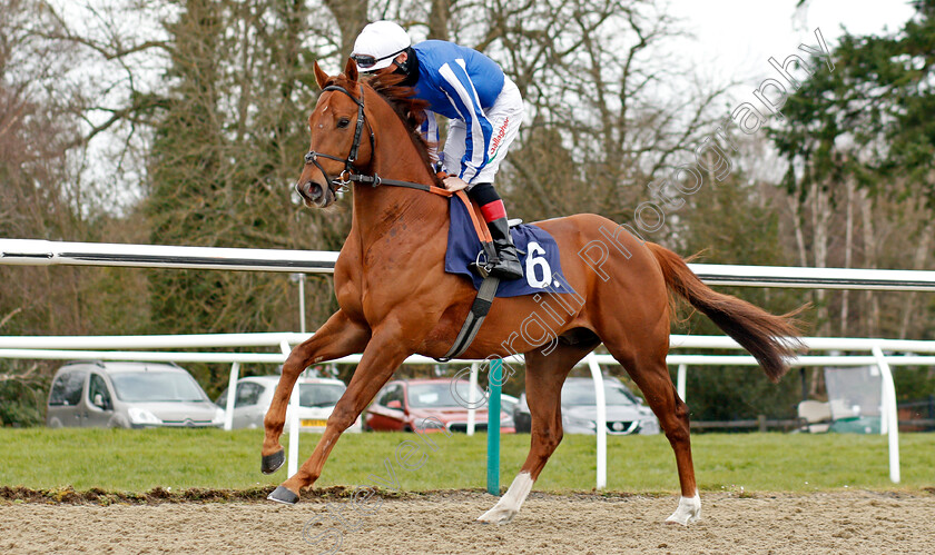 To-The-Bar-0001 
 TO THE BAR (Shane Kelly)
Lingfield 6 Mar 2021 - Pic Steven Cargill / Racingfotos.com