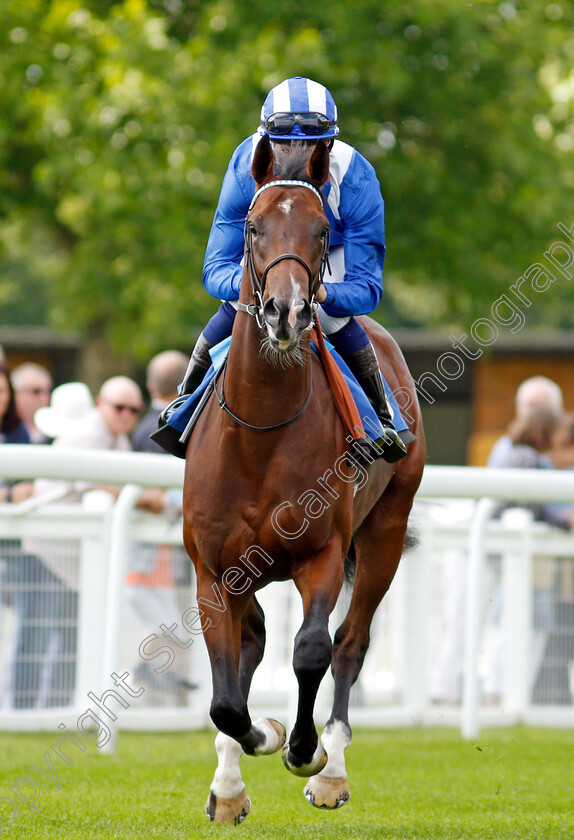 Ikhtiraaq-0001 
 IKHTIRAAQ (Jim Crowley)
Salisbury 11 Aug 2021 - Pic Steven Cargill / Racingfotos.com