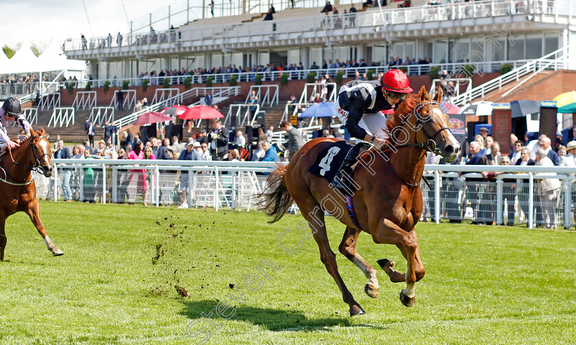 Montassib-0003 
 MONTASSIB (Tom Marquand) wins The William Hill Pick Your Places Handicap
Goodwood 20 May 2022 - Pic Steven Cargill / Racingfotos.com