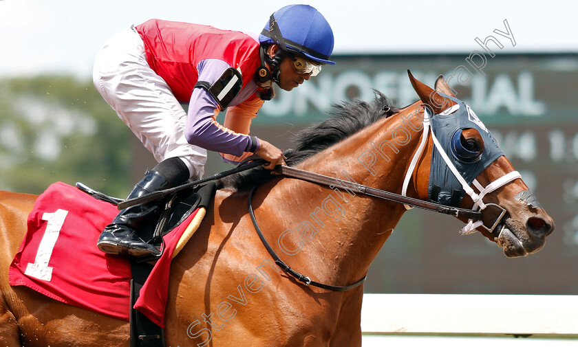 H-Man-0007 
 H MAN (Jose Lezcano) wins Allowance
Belmont Park USA 7 Jun 2019 - Pic Steven Cargill / Racingfotos.com