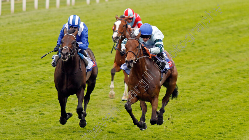 Quickthorn-0009 
 QUICKTHORN (right, Jason Hart) beats ISRAR (left) in The Sky Bet Grand Cup
York 17 Jun 2023 - Pic Steven Cargill / Racingfotos.com