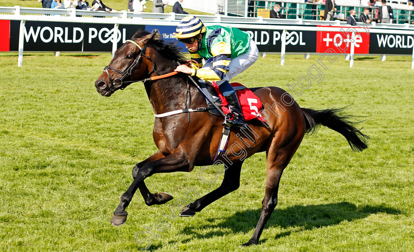 Midnights-Legacy-0003 
 MIDNIGHT LEGACY (William Buick) wins The Northern Dancer Handicap
Epsom 5 Jun 2021 - Pic Steven Cargill / Racingfotos.com