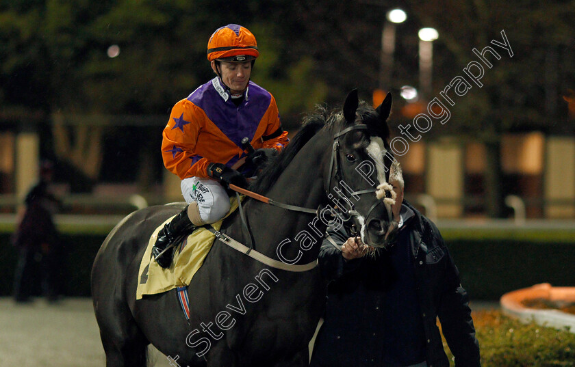 Naval-Commander-0001 
 NAVAL COMMANDER (Kieran O'Neill)
Kempton 4 Mar 2020 - Pic Steven Cargill / Racingfotos.com